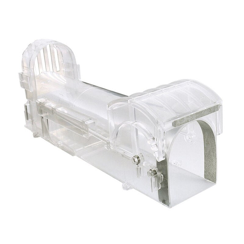 Transparent