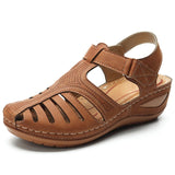 Marron / 37,Marron / 38,Marron / 39,Marron / 40,Marron / 41,Marron / 42,Marron / 43