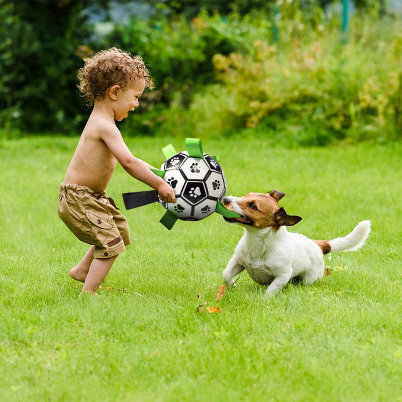 Ballon pour chiens