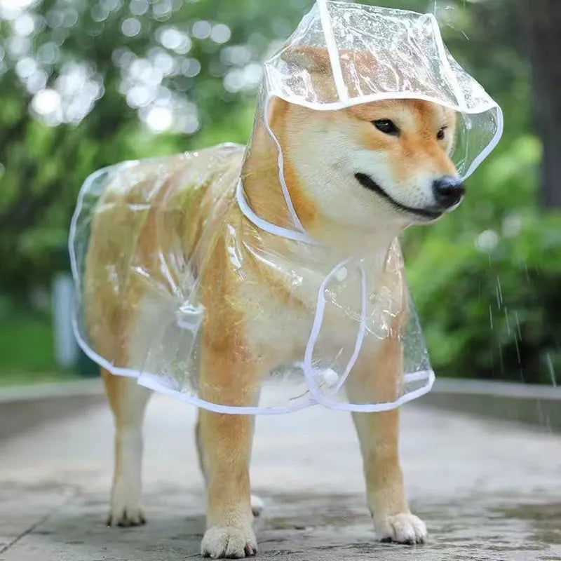 Manteau de pluie imperméable pour animaux