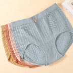 Lot de 2 Culottes Taille Haute en Coton gauffré