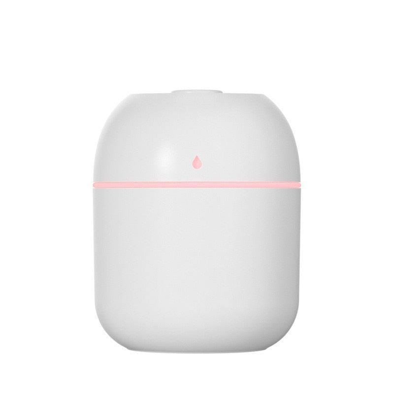 Humidificateur d'intérieur