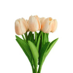 Rose clair,Rose