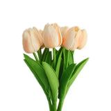 Rose clair,Rose