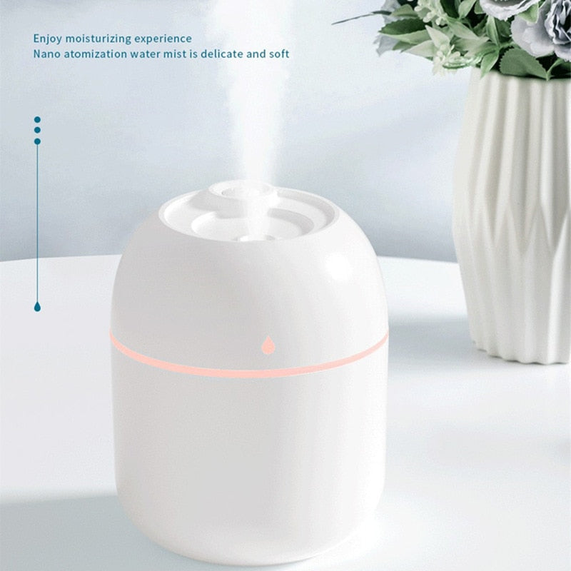 Humidificateur d'intérieur