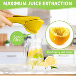 Presse agrumes avec filtre intégré - Extraction Maximale !