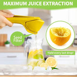 Presse agrumes avec filtre intégré - Extraction Maximale !