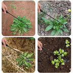 Outil Manuel Désherbeur de Mauvaises Herbes à 4 Dents
