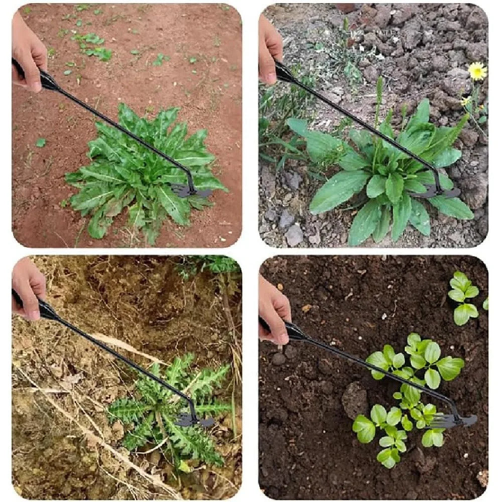 Outil Manuel Désherbeur de Mauvaises Herbes à 4 Dents
