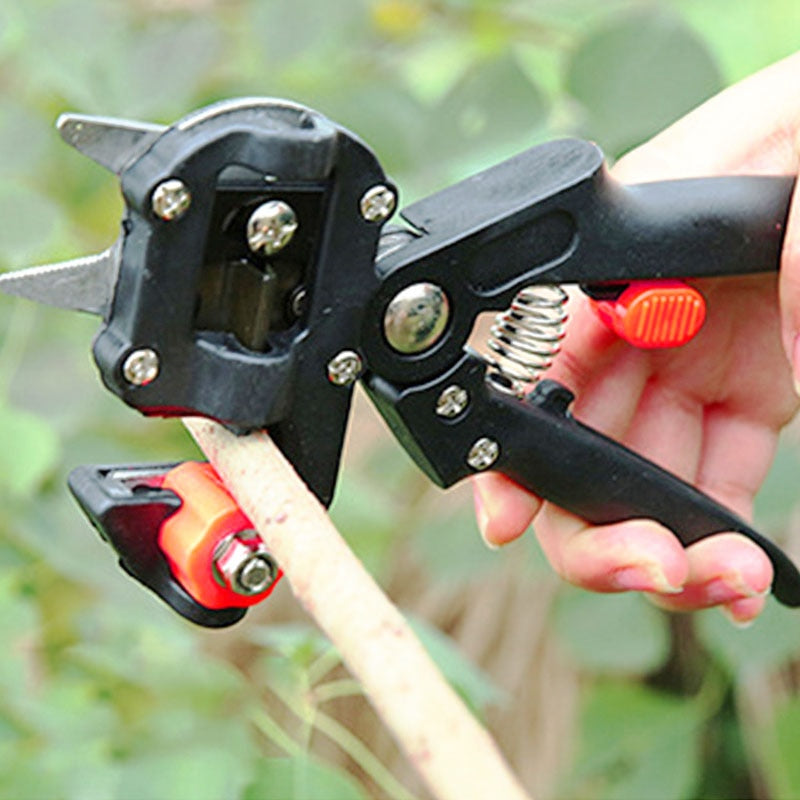 Outils pour greffe de jardin