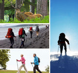 Bâton de Marche en Carbone Téléscopique