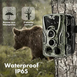 Caméra de chasse 20 MPX avec vision nocturne